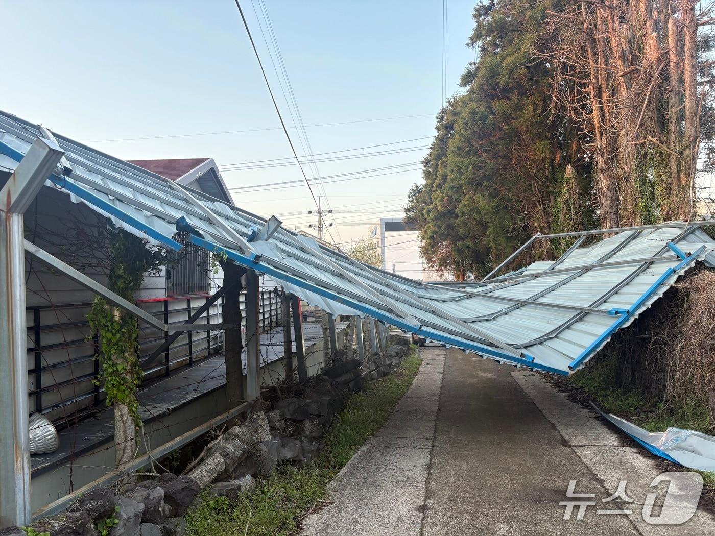 본문 이미지 -  제주에서 강풍으로 창고 지붕이 날아갔다.(제주 소방본부 제공, 재판매 및 DB 금지)/뉴스1