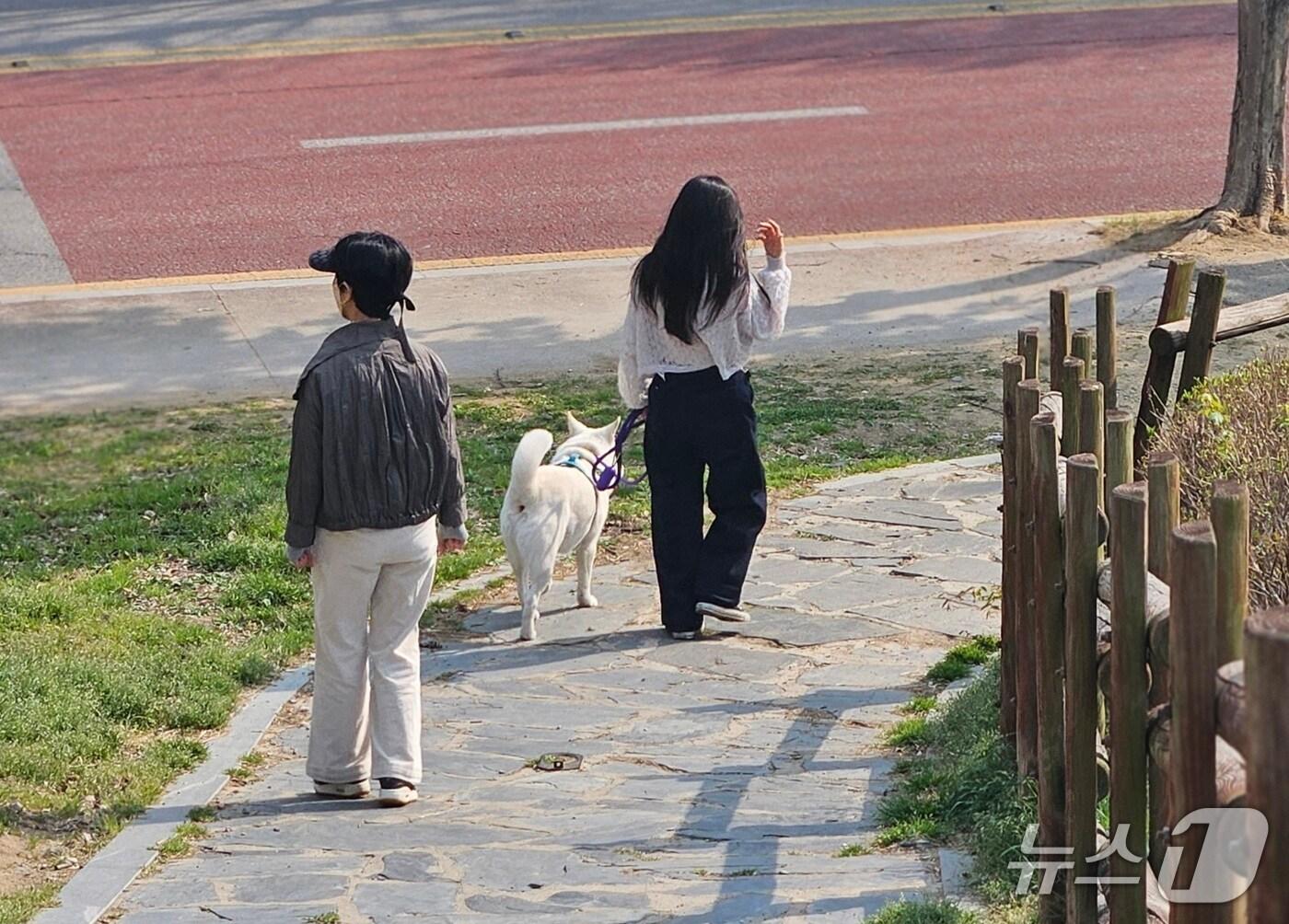 본문 이미지 -  11일 오후 3시께 전북자치도 전주시 완산구 효자동 문학대공원에서 시민들이 반려견과 산책하고 있다. 2025.4.14/뉴스1 신준수 기자