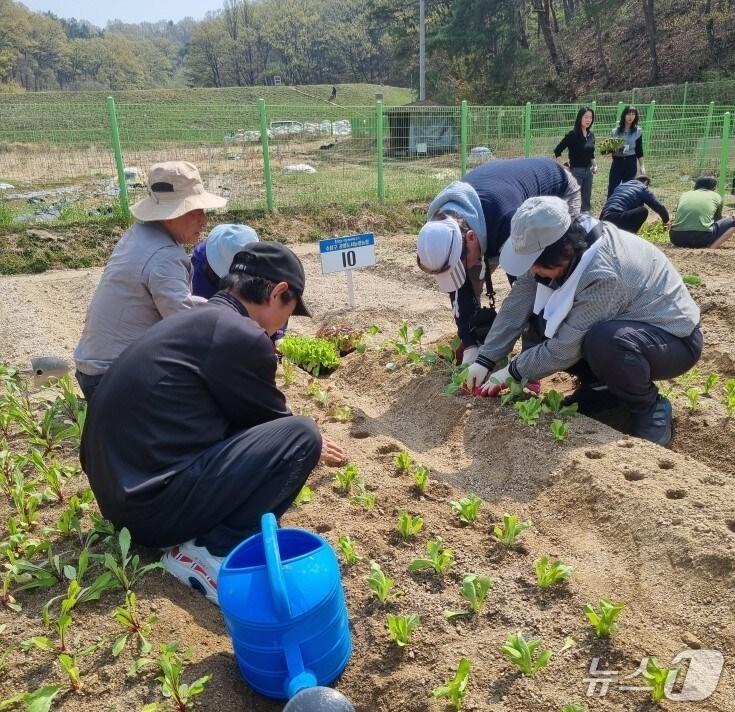 본문 이미지 - 대구 수성구에 거주하는 고독사 위험군 주민이 '심는 즐거움, 거두는 기쁨' 사업에서 일환인 합동 씨뿌리기 행사를 참여했다.(대구 수성구 제공.재판매 및 DB 금지)
