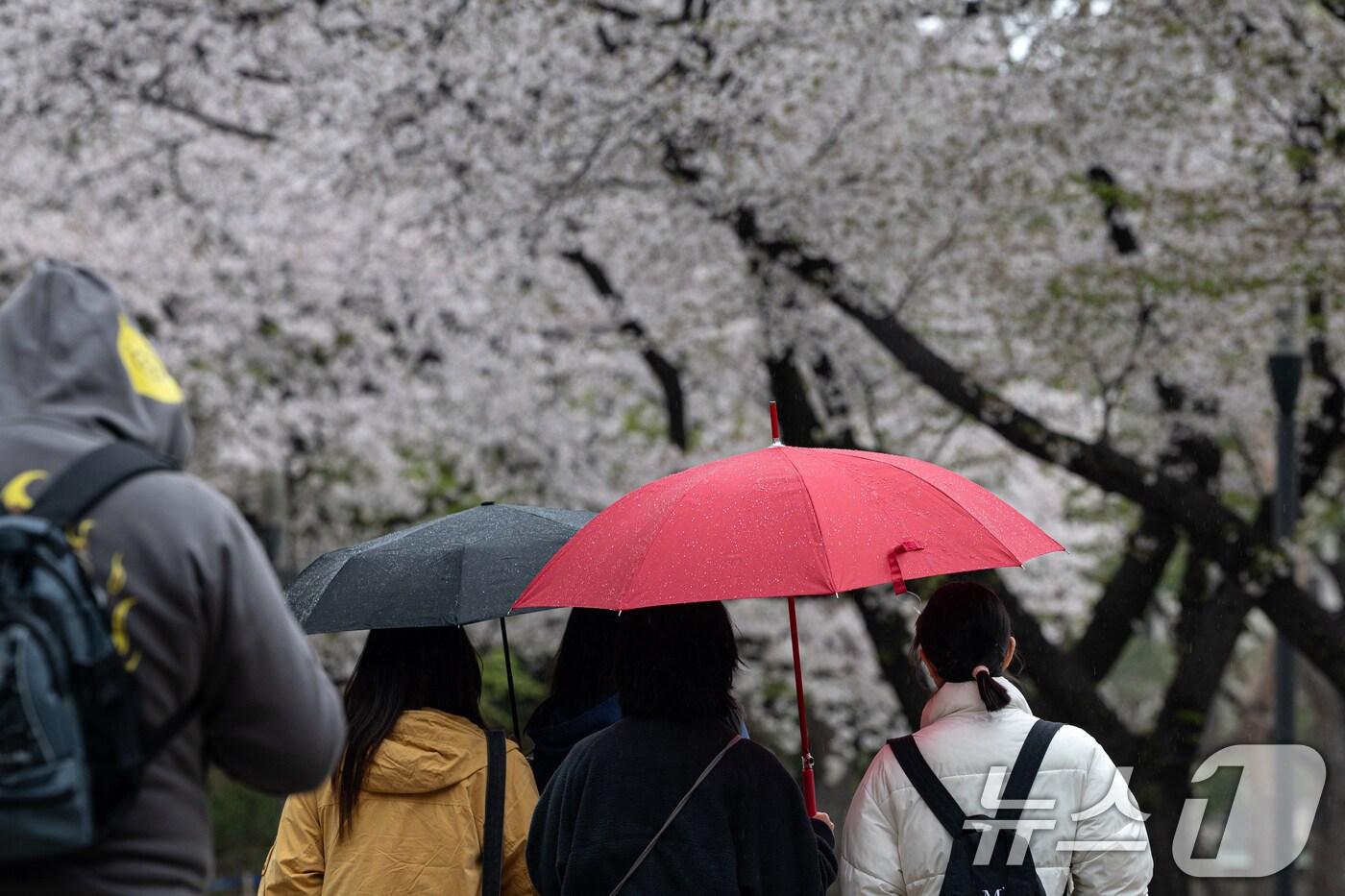 13일 오후 서울 중구 덕수궁에서 시민들이 갑자기 내린 비로 우산을 쓰고 발걸음을 옮기고 있다. 2025.4.13/뉴스1 ⓒ News1 이승배 기자
