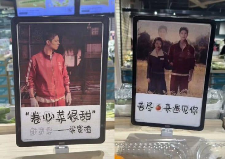 본문 이미지 - 사진=서경덕 교수 사회관계망서비스 갈무리