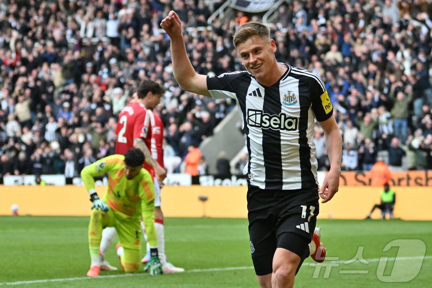 뉴캐슬 유나이티드가 맨체스터 유나이티드를 4-1로 꺾었다. ⓒ AFP=뉴스1
