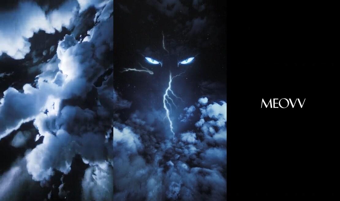 본문 이미지 - 더블랙레이블 제공