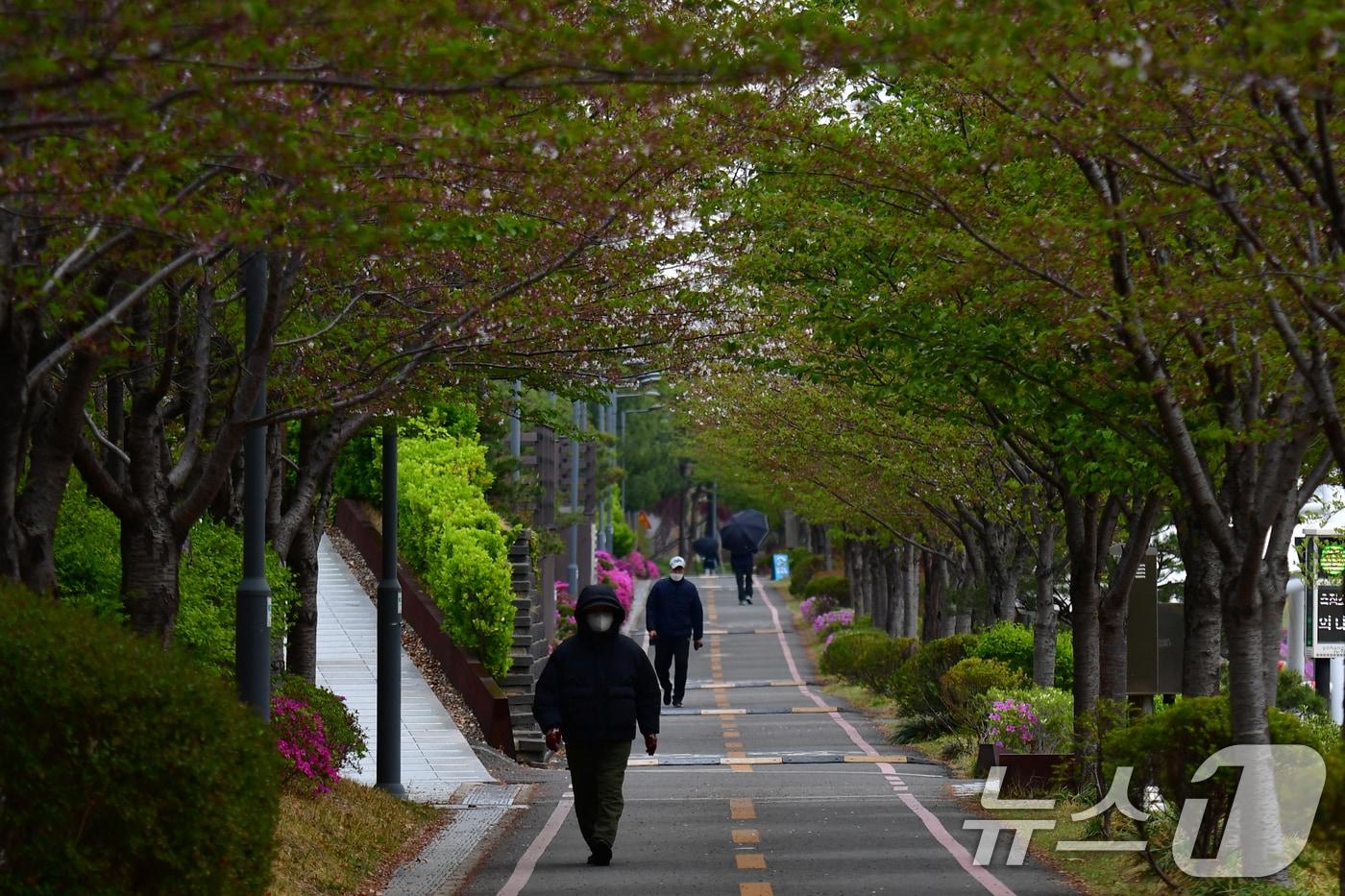 아침 기온이 뚝떨어진 14일 경북 포항시 남구 철길숲에서 두터운 차림의 시민들이 산책하고 있다. 2025.4.14/뉴스1 ⓒ News1 최창호 기자