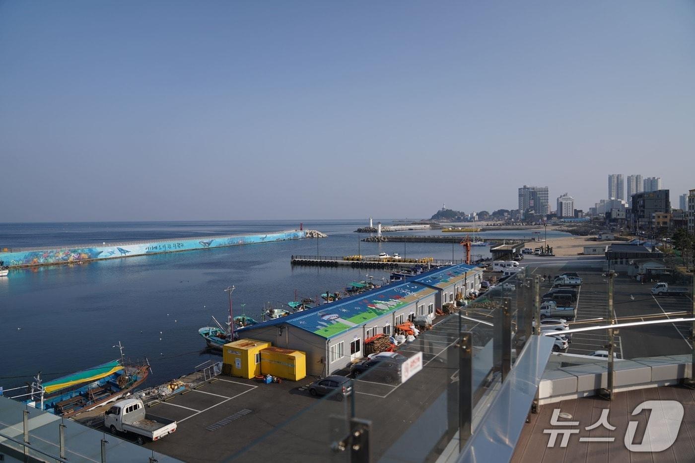 강원 속초지역 어항 전경.(속초시 제공, 재판매 및 DB 금지) 2025.4.14/뉴스1
