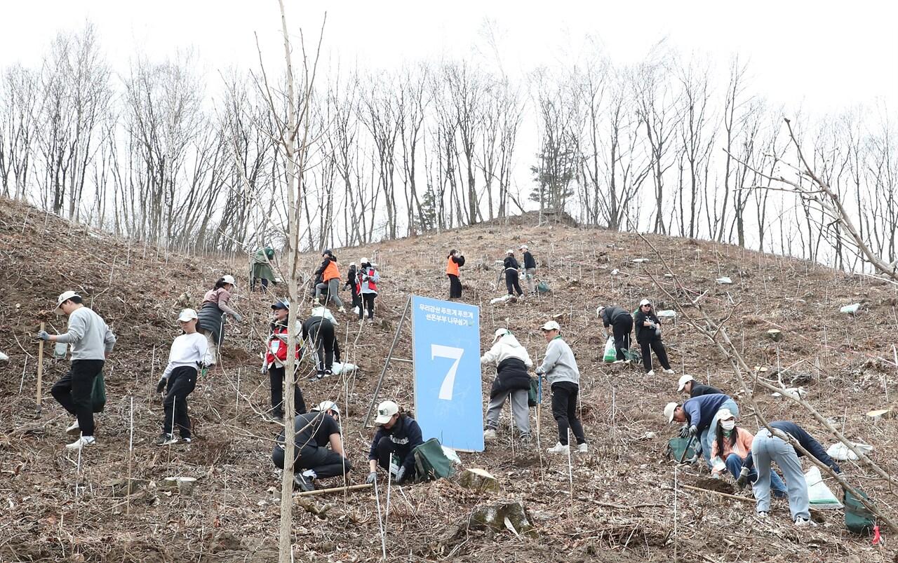본문 이미지 - 유한킴벌리가 12일 인제에서 우리강산 푸르게 푸르게 희망의 나무 심기를 진행했다 &#40;유한킴벌리 제공&#41;