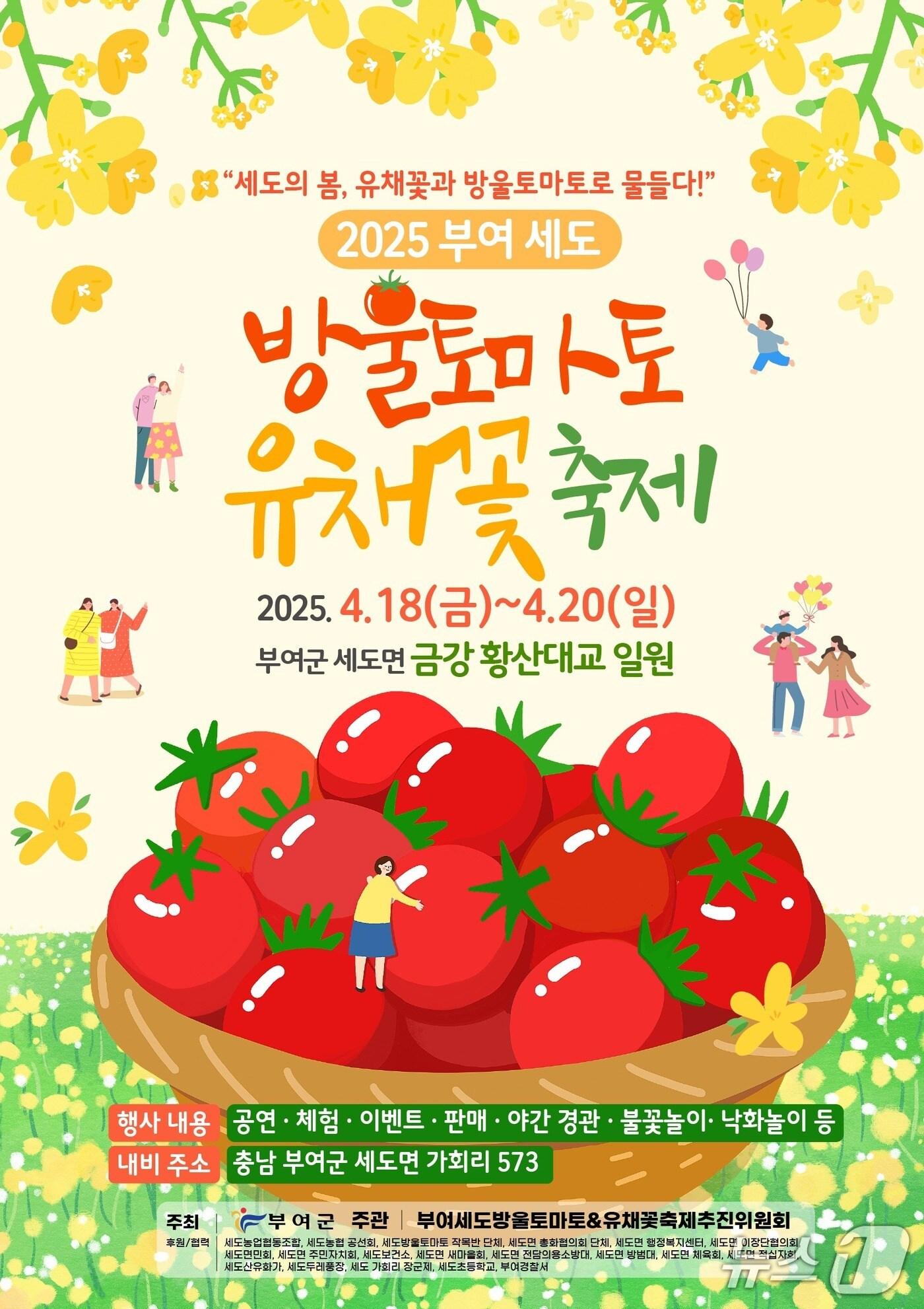 본문 이미지 - '부여세도 방울토마토&유채꽃 축제' 포스터. /뉴스1