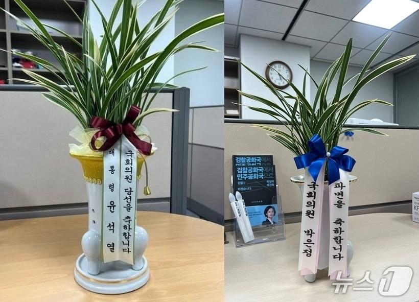 본문 이미지 - (박은정 조국혁신당 의원 페이스북 갈무리) /뉴스1