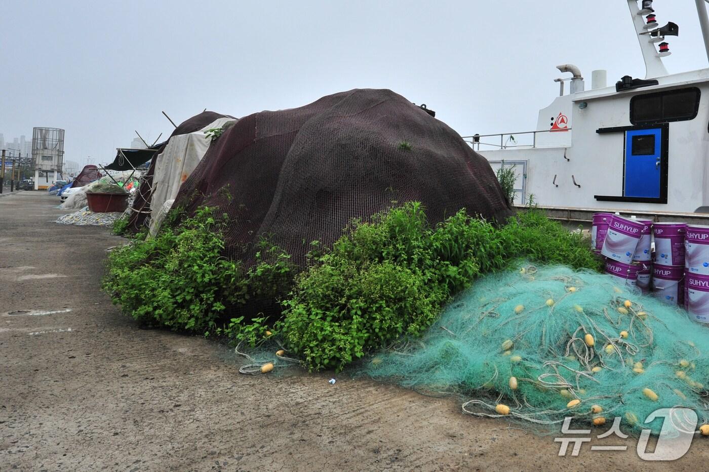 방치된 불법어구 