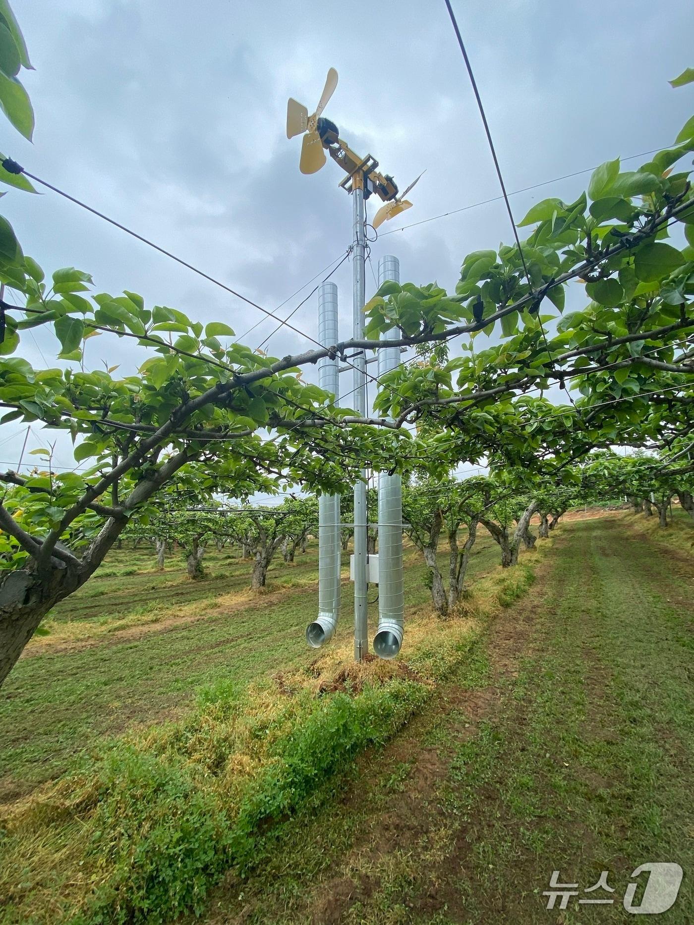 본문 이미지 - 나주 한 농가에 설치된 열풍방상팬 모습.&#40;전남도 제공. 재판매 및 DB금지&#41; 2025.4.14/뉴스1