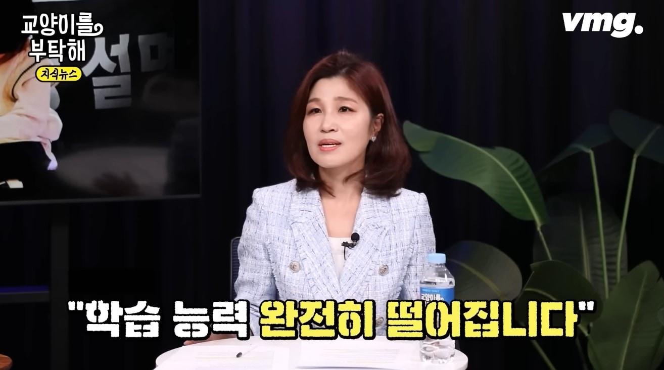 본문 이미지 - ('교양이를 부탁해')