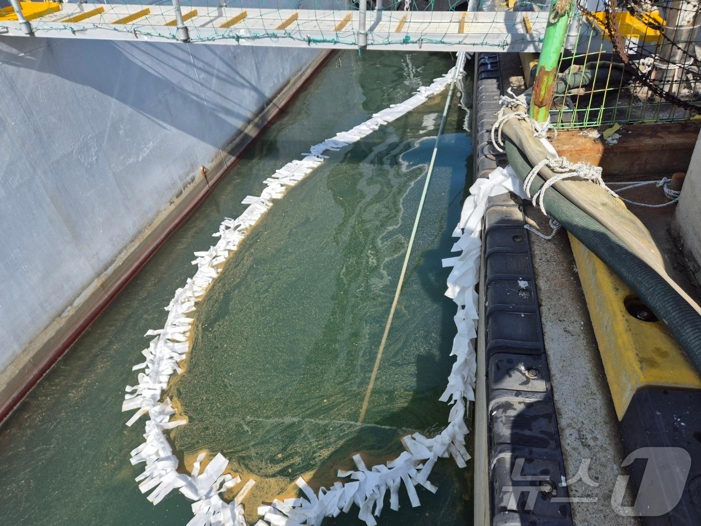 본문 이미지 - (사진은 기사 내용과 무관함) / 뉴스1 ⓒ News1
