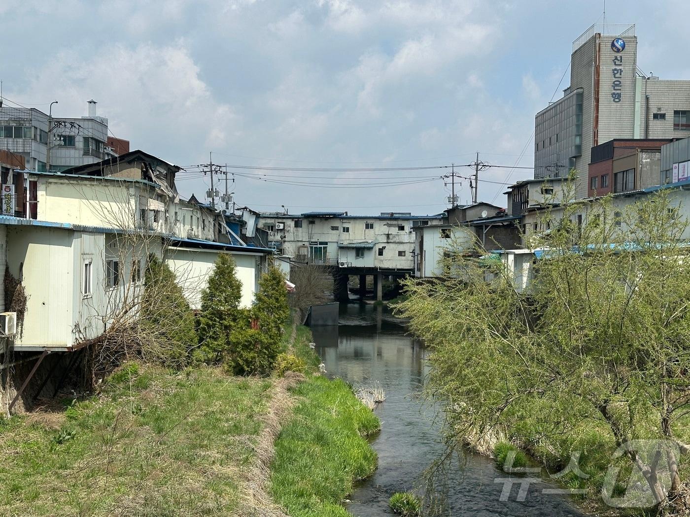 본문 이미지 - 충북 충주 도심의 대표 시설물인 대수정교 60여년 만에 새로 지어질 것으로 보인다.2025.4.15/뉴스1 