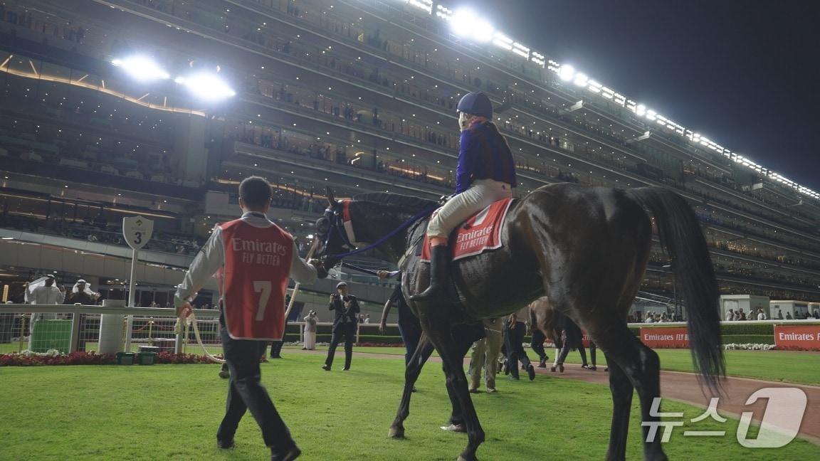 본문 이미지 - 두바이 경마대회에서 출전을 준비하는 글로벌히트와 김혜선 기수.(렛츠런파크 부산경남 제공. 재판매 및 DB 금지)