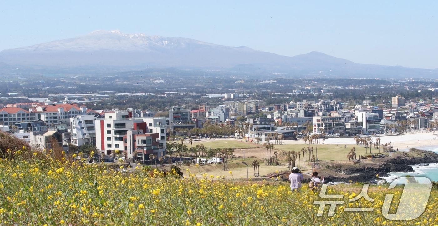 본문 이미지 - 제주시 조천읍 서우봉에서 바라본 한라산. 2025.4.15 ⓒ 뉴스1 오현지 기자