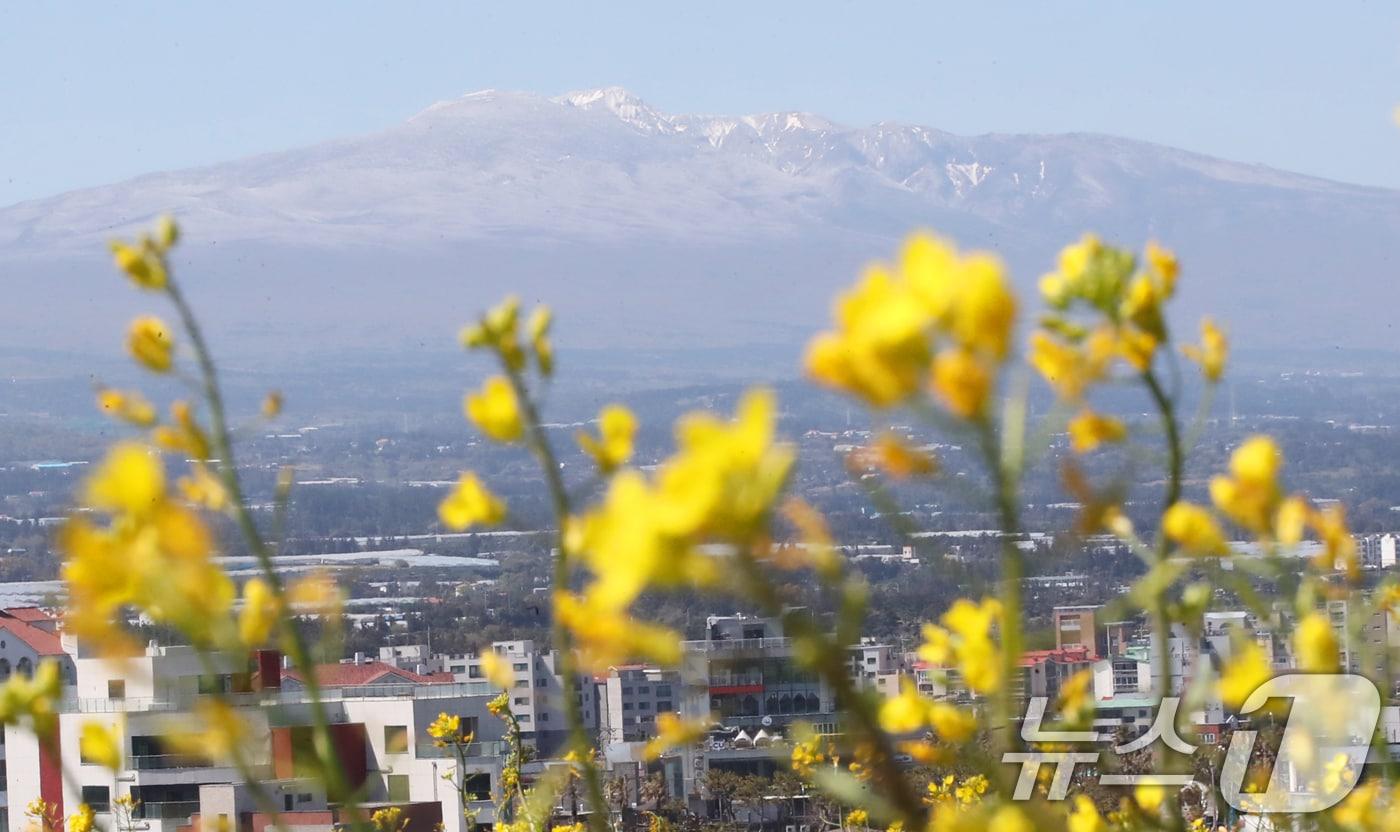 본문 이미지 - 자료사진.ⓒ News1