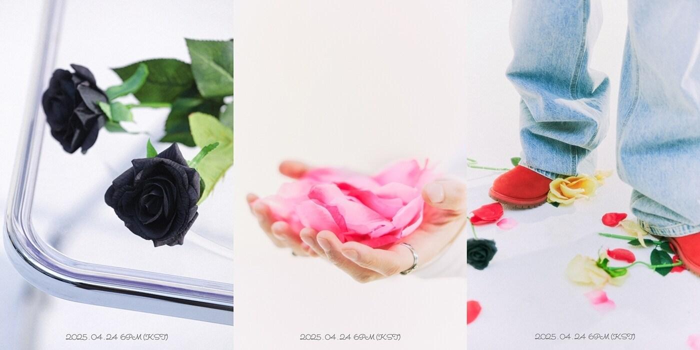 본문 이미지 - 사진제공=알비더블유, DSP미디어