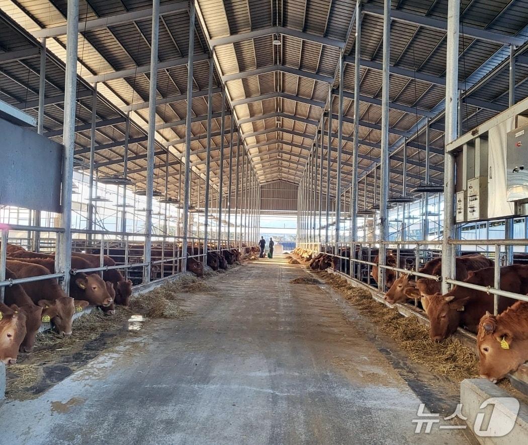 본문 이미지 -  정읍시가 축산업의 안정적인 운영과 공공 안전 확보를 위해 축산업 허가·등록 농가에 대한 정기점검에 나섰다.(정읍시 제공. 재판매 및 DB금지)