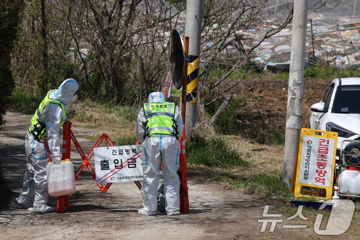 ⓒ News1 김태성 기자