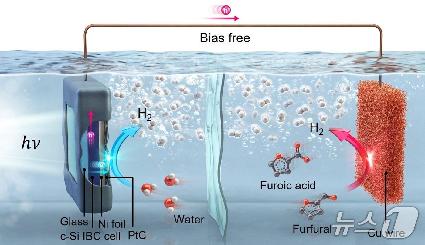 본문 이미지 - 태양광만을 이용한 고효율 이중 수소 생산 시스템 모식도. (UNIST 제공. 재판매 및 DB 금지) /뉴스1