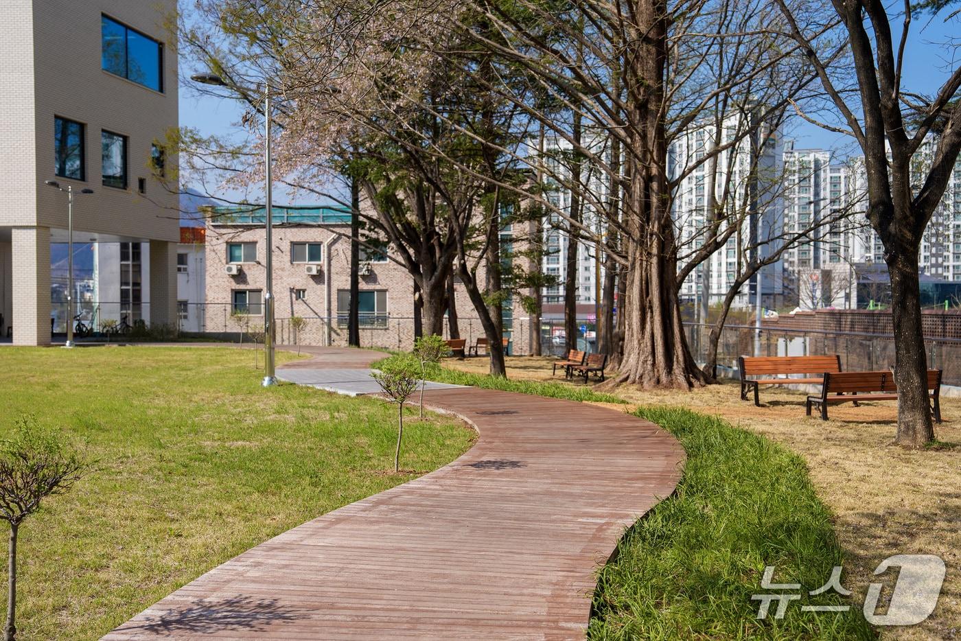 충북 증평군이 도심 속 힐링 명소 '창의 숲'을 조성해 지역민과 한층 가까운 휴식 공간을 새롭게 선보였다.(증평군 제공)/뉴스1