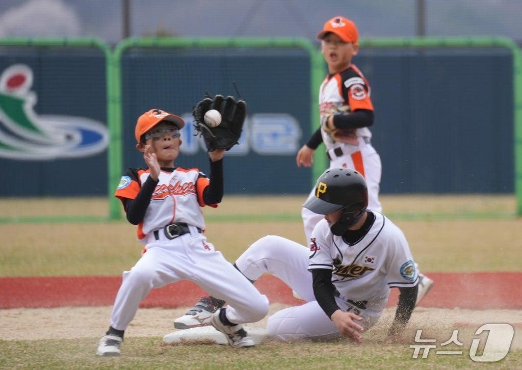 본문 이미지 - 제9회 한국컵 유소년야구대회 경기 모습. (서천군 제공. 재판매 및 DB금지) /뉴스1