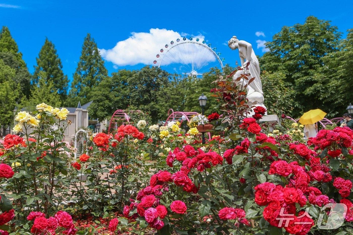 720품종 300만 송이 장미가 만개한 장미원&#40;에버랜드 제공&#41;