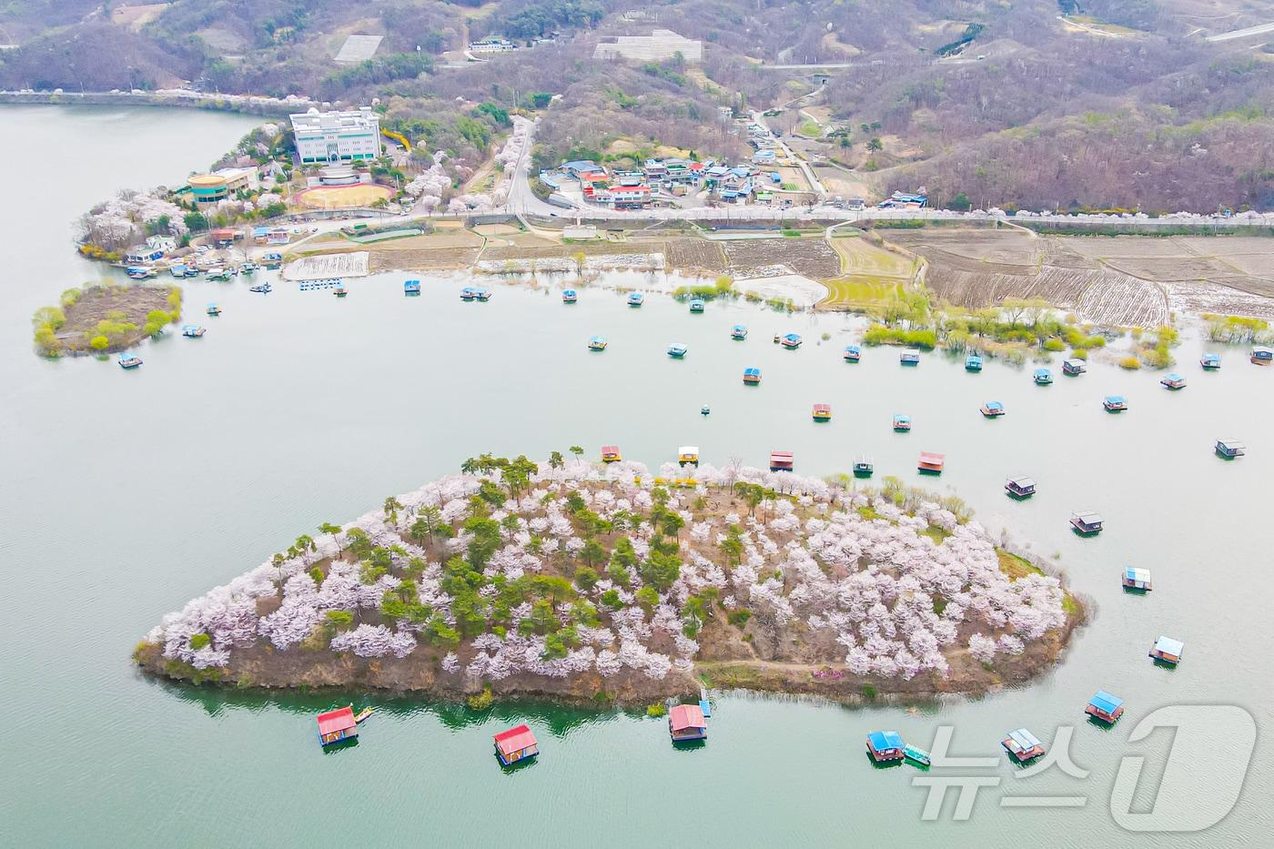 충북 진천 초평호 꽃섬 전경.(진천군 제공)/뉴스1 이성기 기자