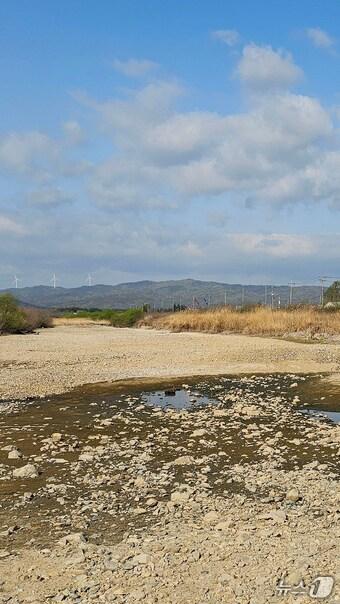 본문 이미지 - 경북 포항시 북구 흥해읍 곡강천 상류가 말라있다. 2025.4.17/뉴스1 ⓒ News1 최창호 기자