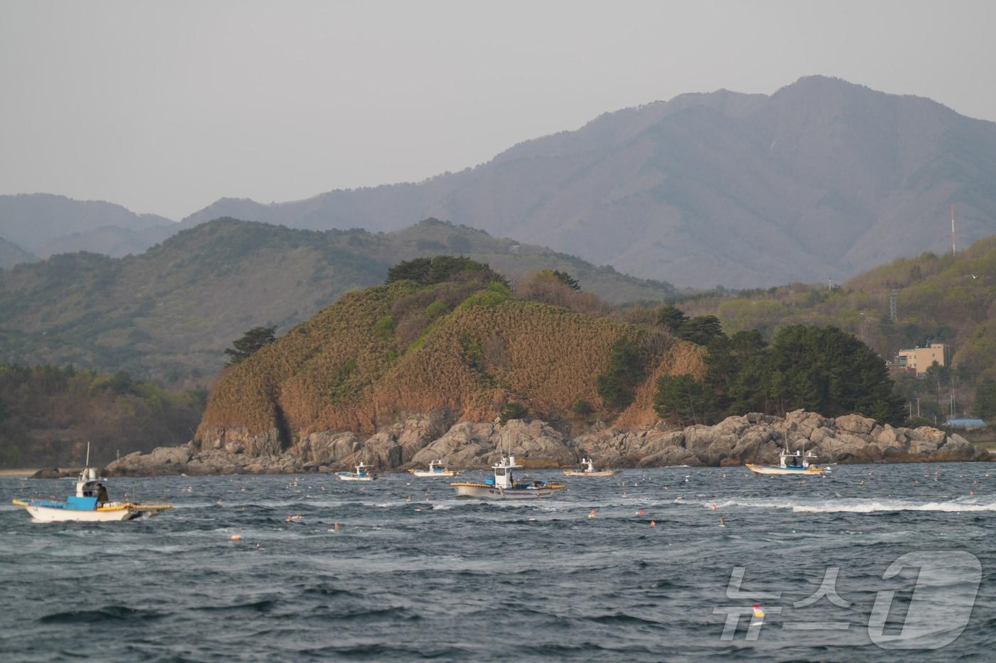 본문 이미지 - 동해안 최북단 저도어장.(강원도 제공, 재판매 및 DB 금지) 