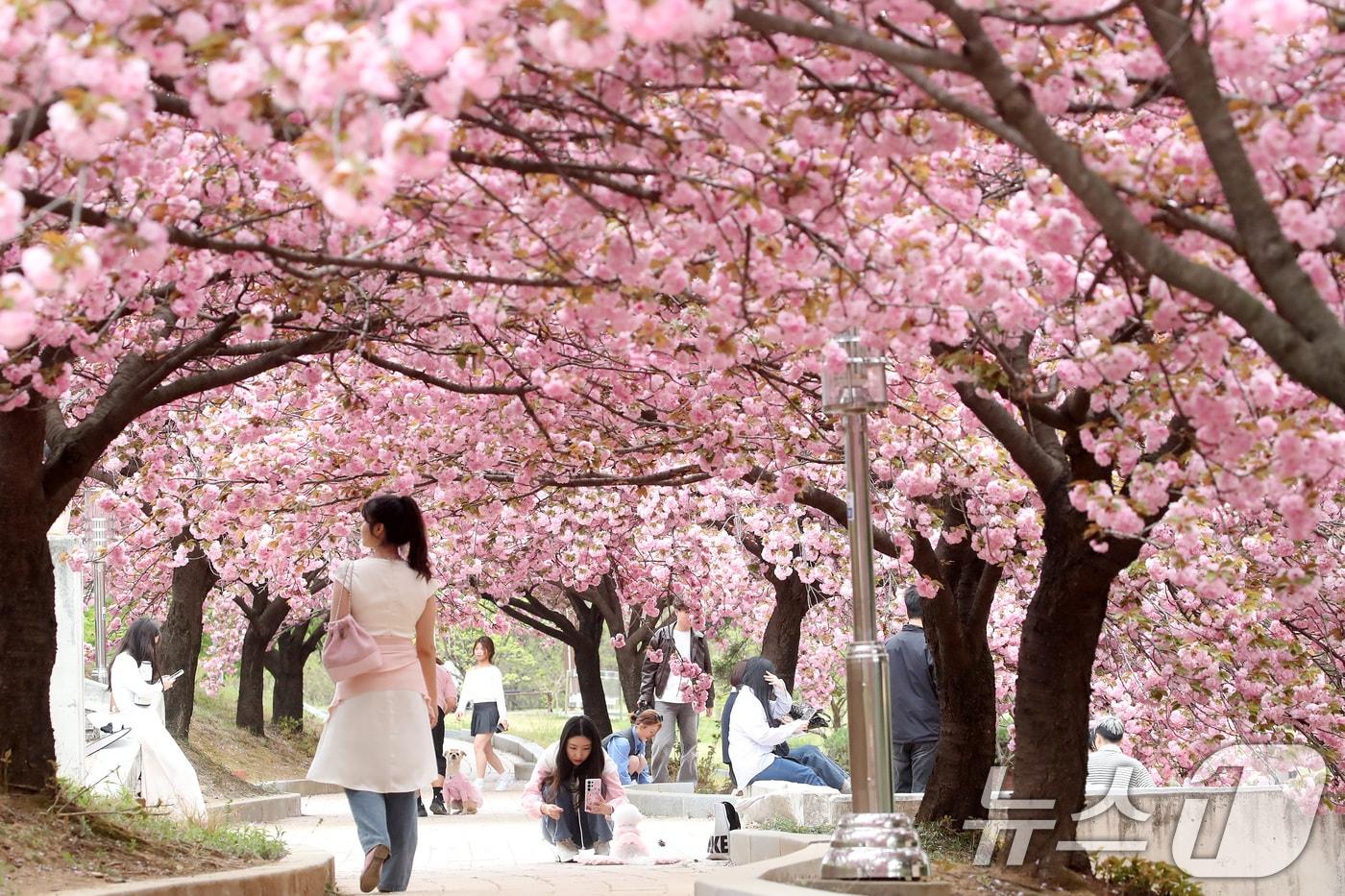 &#40;사진은 기사 내용과 무관함&#41; 2025.4.17/뉴스1 ⓒ News1 공정식 기자