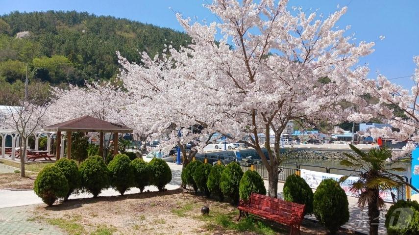 본문 이미지 - 경남 통영 궁항마을(한국어촌어항공단 제공)