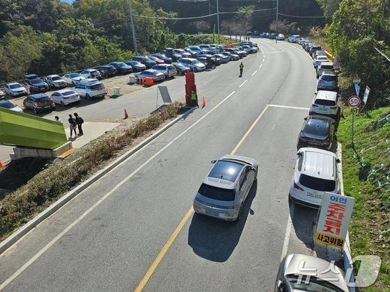 본문 이미지 -  충북 충주호 악어봉을 찾는 관광객이 증가하는 가운데 주차장 조성이 난항을 겪고 있다. 사진은 도로변에 주차된 차량.(자료사진)/뉴스1