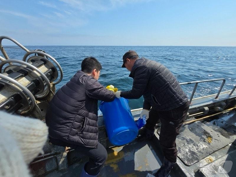 본문 이미지 - 강원도 한해성수산자원센터가 2일 강원북부 동해안 일대 해역에 도루묵과 뚝지 치어를 방류하고 있다.(강원도글로벌본부 제공, 재판매 및 DB 금지) 2025.4.2/뉴스1