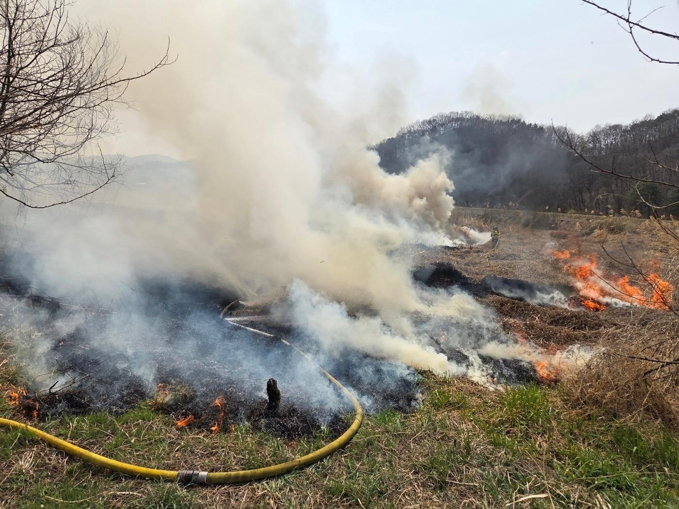 본문 이미지 - 세종시 장군면 대교천 화재.(세종시소방본부 제공. 재판매 및 DB금지)