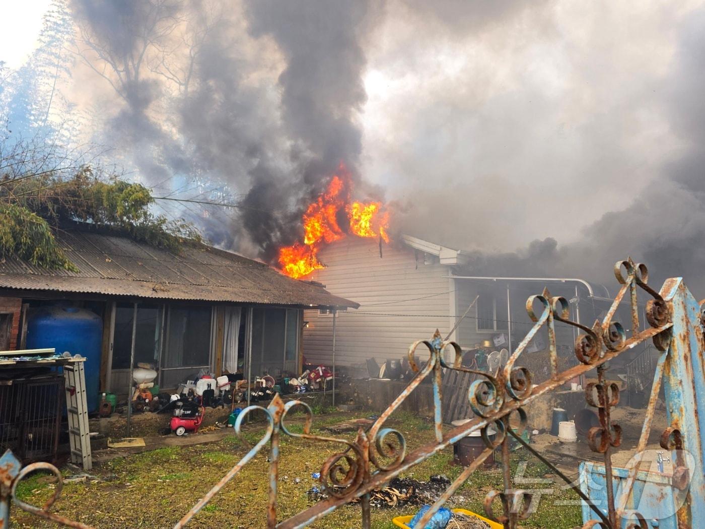 본문 이미지 - 2일 오후 3시 10분께 전북 완주 한 대나무밭에서 불이 나 소방과 산림당국이 진화에 나섰다.(전북자치도소방본부 제공. 재판매 및 DB금지)