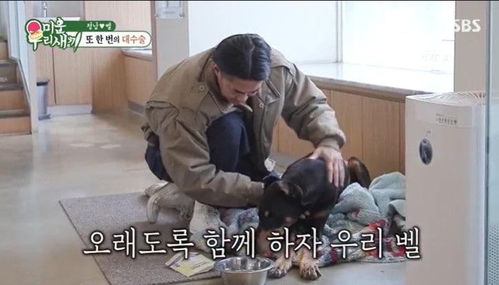 본문 이미지 - SBS '미운 우리 새끼'