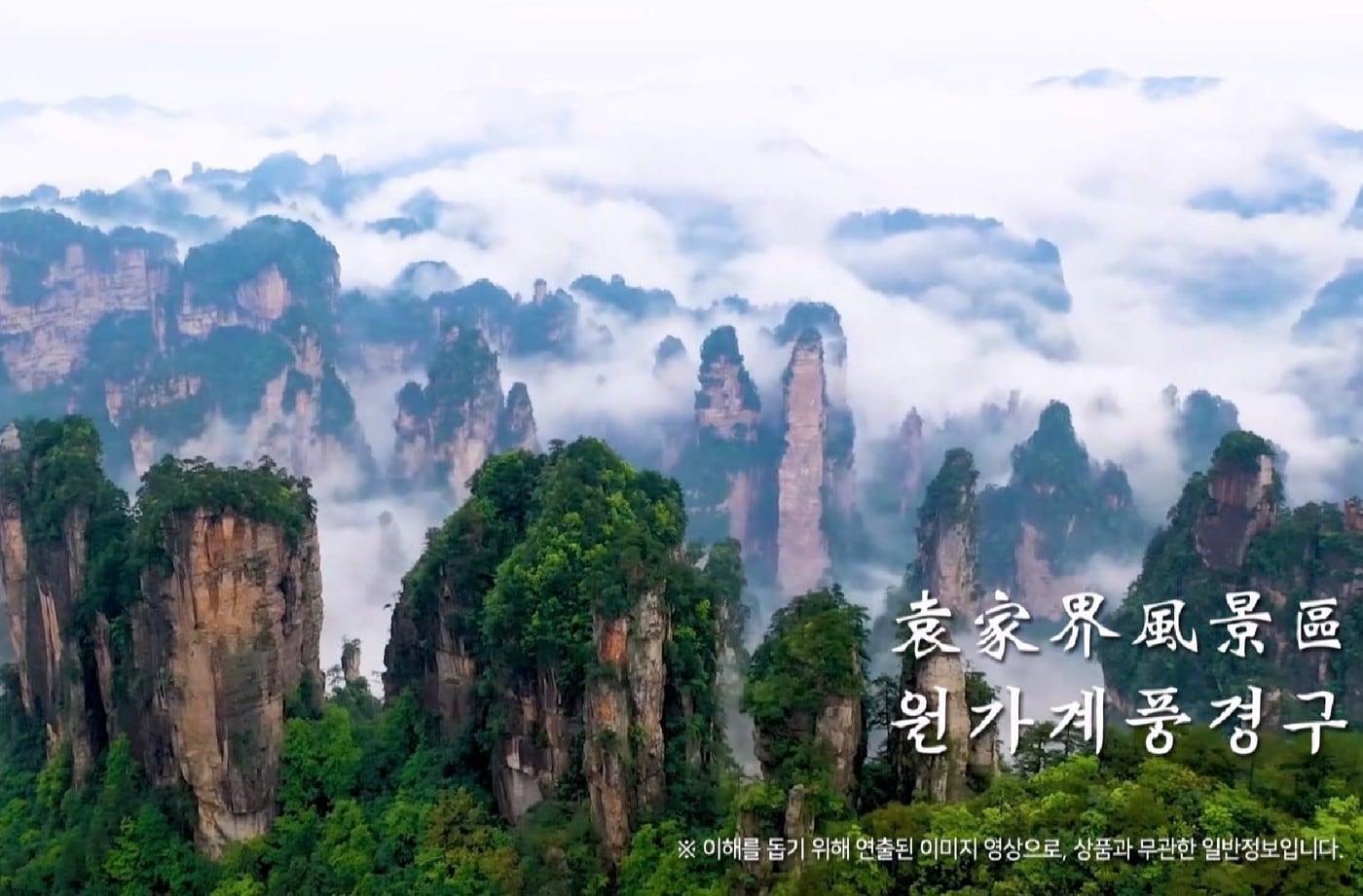 (쇼핑엔티 제공)