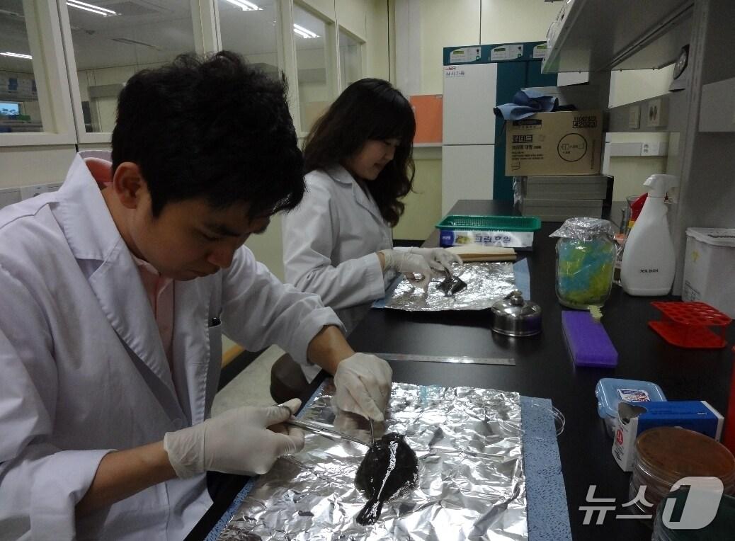 본문 이미지 - 수산질병관리사(해양수산부 제공)