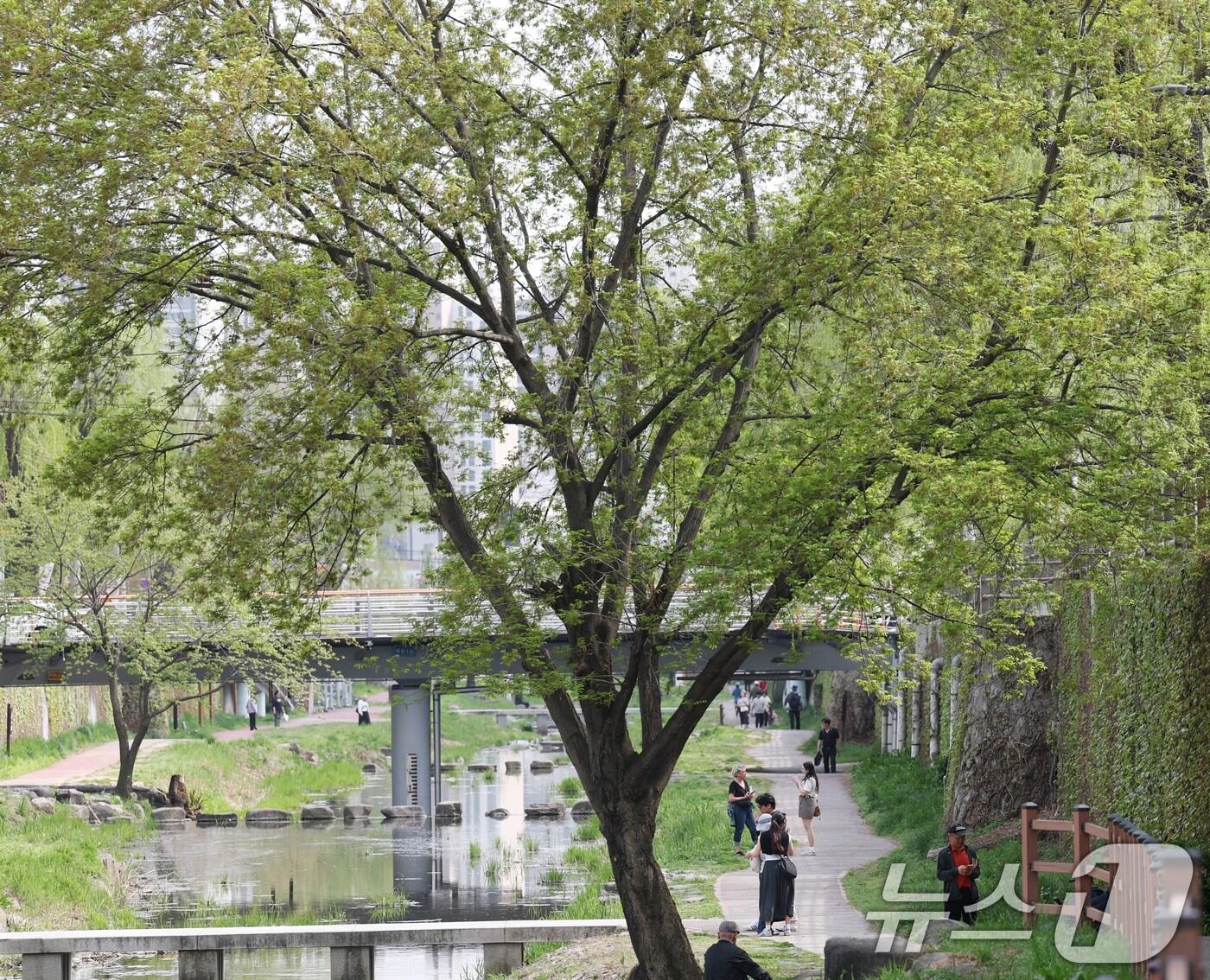 본문 이미지 - (사진은 기사 내용과 무관함) / 뉴스1 ⓒ News1