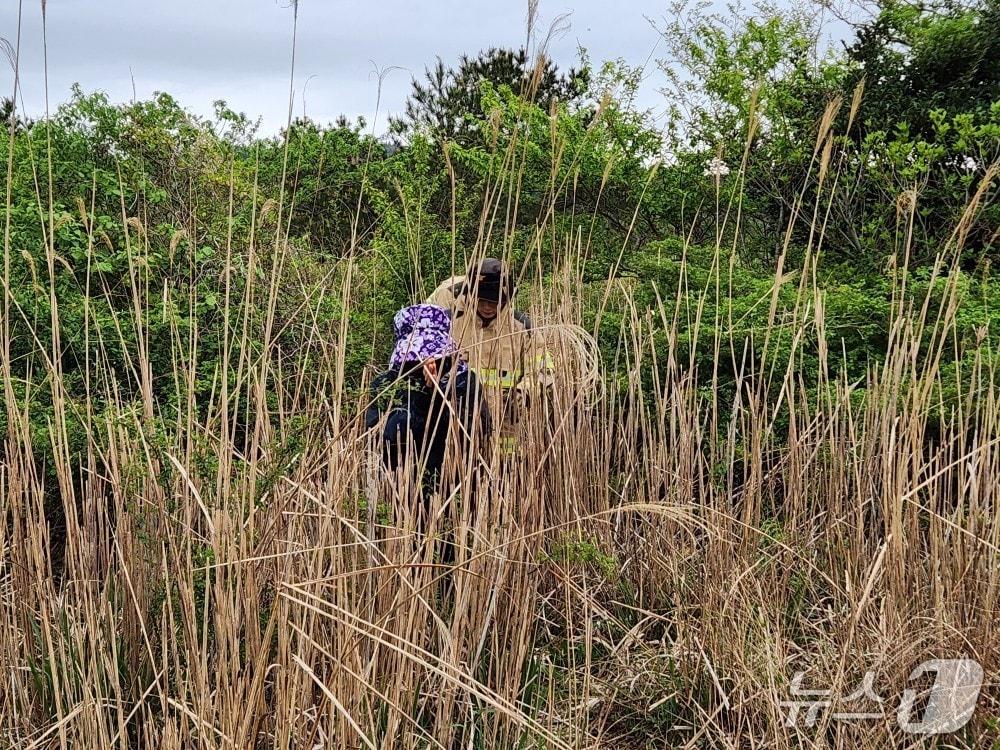 본문 이미지 - 지난 20일 제주시 구좌읍 덕천리에서 60대 여성 A 씨가 고사리 채취 중 길을 잃어 소방대원들로부터 구조되고 있다.(제주도소방안전본부 제공. 재판매 및 DB 금지)
