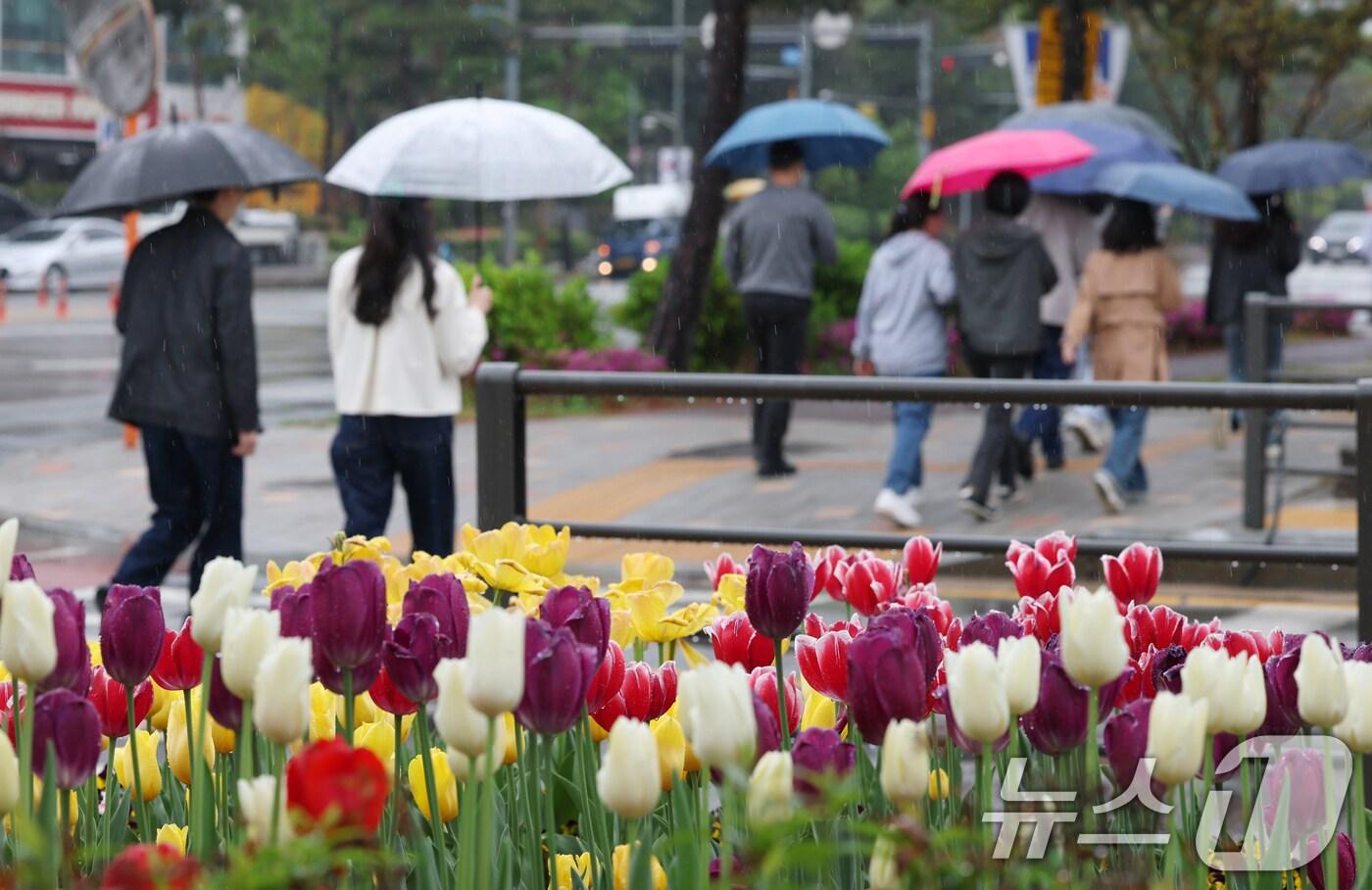 본문 이미지 - 봄비가 내린 22일 오후 경기 수원시의 한 거리에서 시민들이 우산을 쓰고 지나가고 있다. 2025.4.22/뉴스1 ⓒ News1 김영운 기자