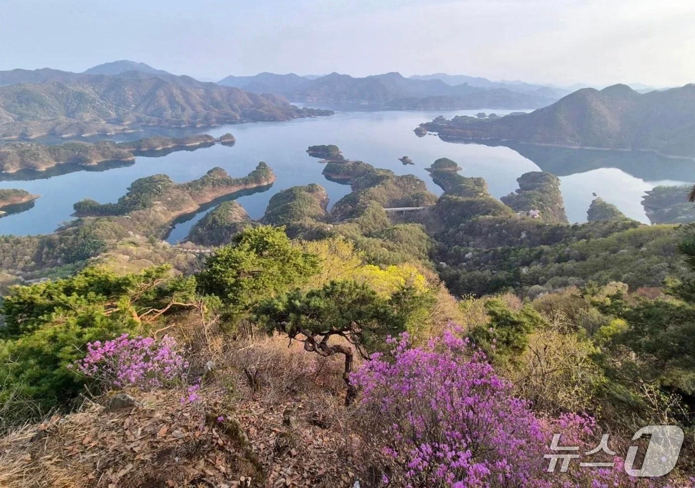  23일 충북 충주시가 봄나들이 장소로 충주호를 추천했다. 사진은 악어봉에서 내려다 본 충주로 풍경.(충주시닷컴 게시글 캡처. 재판매 및 DB금지)/뉴스1
