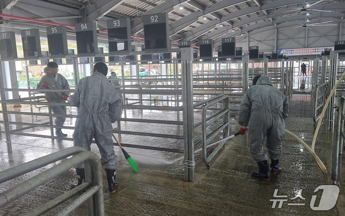 가축시장 소독 모습.&#40;전남도 제공. 재판매 및 DB금지&#41; 2025.4.24/뉴스1