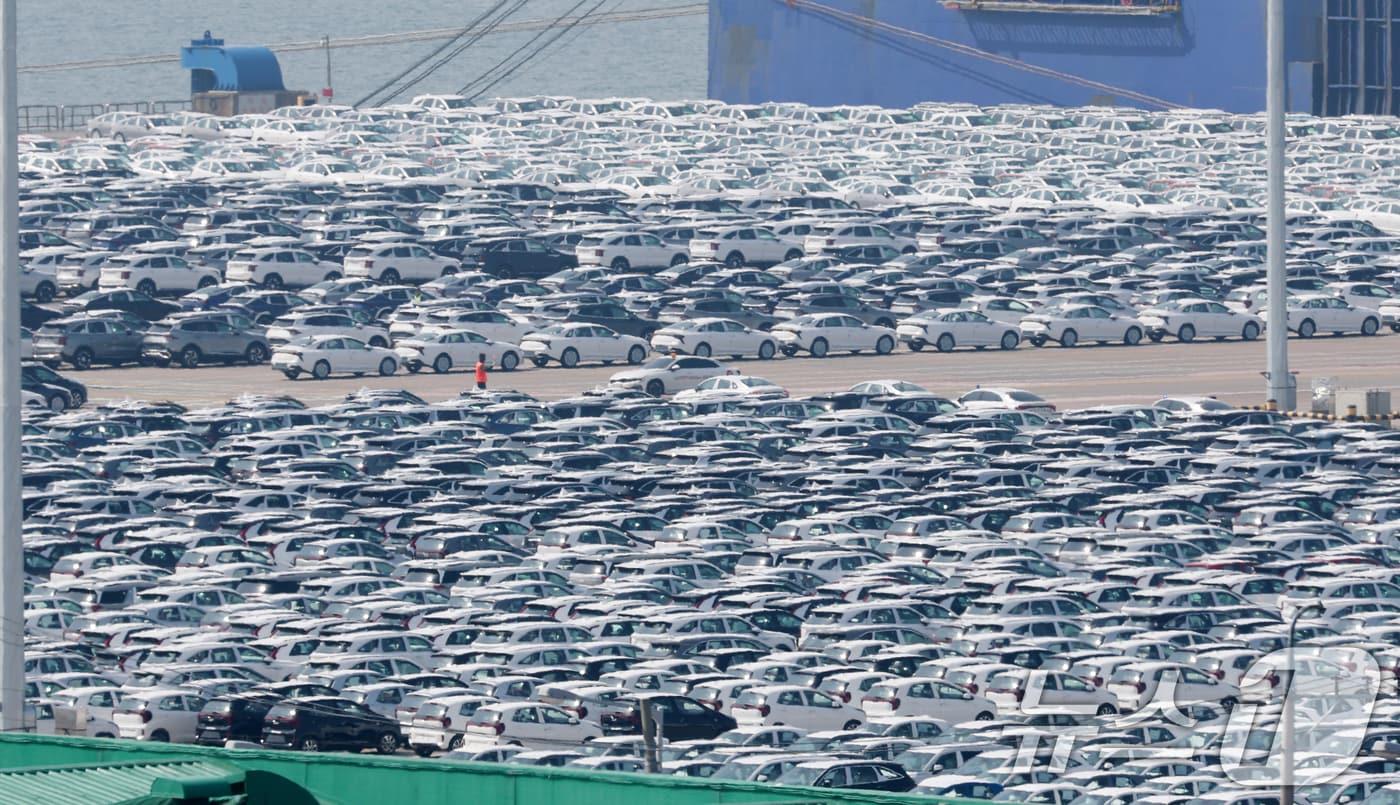 24일 경기 평택시 포승읍 평택항 자동차전용부두에 수출용 차량들이 세워져 있다./뉴스1 ⓒ News1 김영운 기자