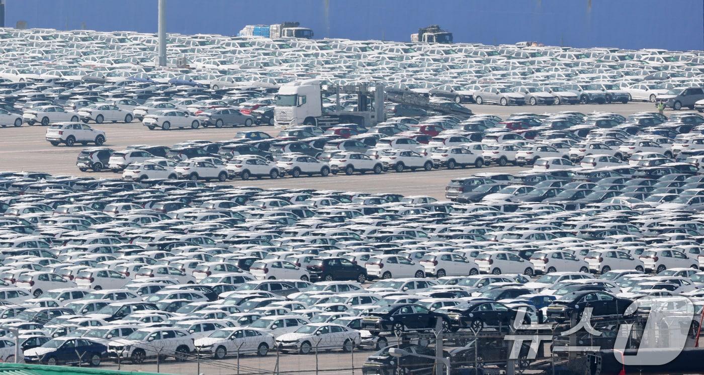 본문 이미지 - 24일 경기 평택시 포승읍 평택항 자동차전용부두에 수출용 차량들이 세워져 있다. 2025.4.24/뉴스1 ⓒ News1 김영운 기자