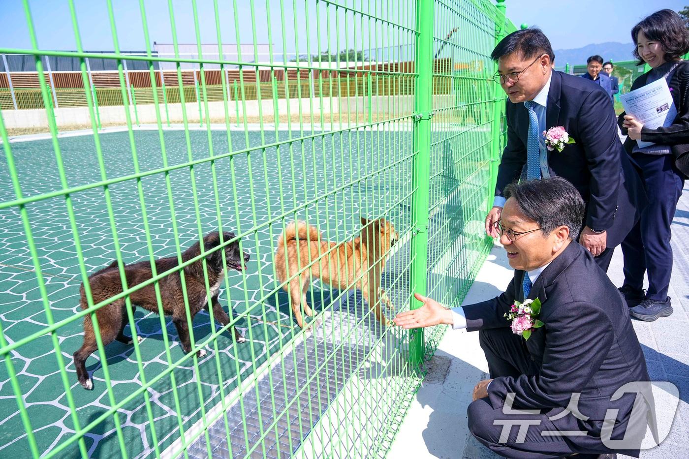 본문 이미지 - 강기정 광주시장이 지난달 24일 오전 북구 본촌동에 들어선 '광주시 동물보호센터 개소식'에 참석해 센터에서 돌보고 있는 유기견을 살펴보고 있다.(광주시 제공. 재판매 및 DB 금지) 2025.4.24/뉴스1 ⓒ News1 박준배 기자