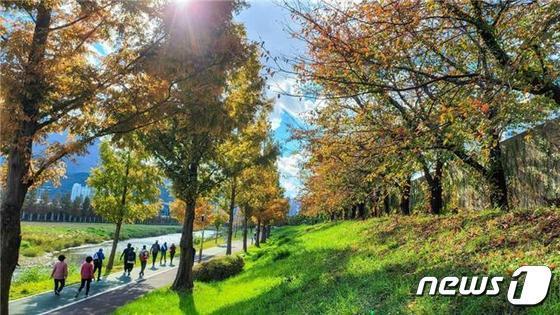 본문 이미지 - 갈맷길 8코스 수영강변(부산시청 제공.재판매 및 DB 금지))