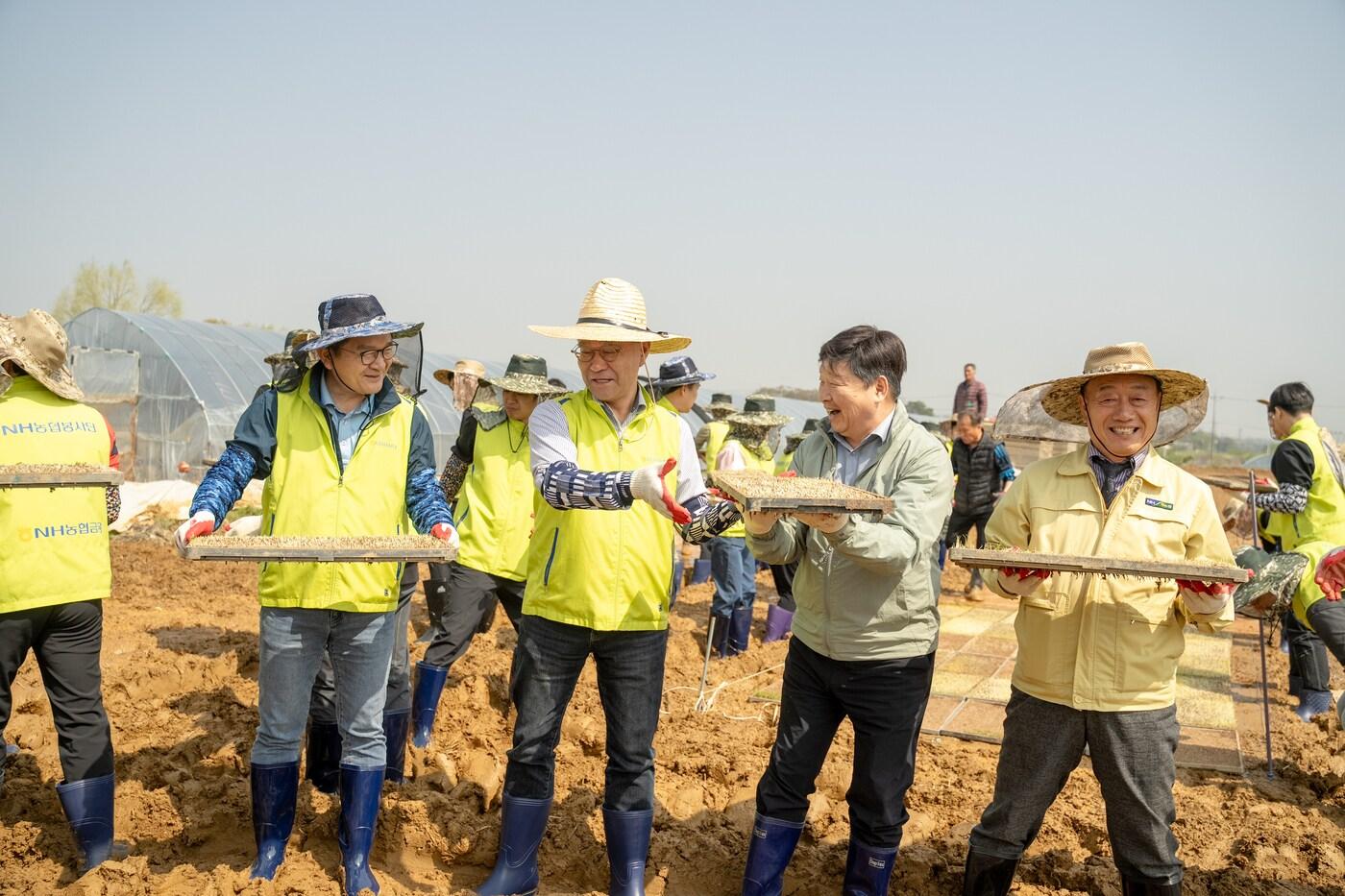 이재호 부사장(왼쪽에서 첫 번째), 이찬우 회장(왼쪽에서 두 번째), 홍성규 신도농협 조합장(왼쪽에서 세 번째), 장순복 지도농협 조합장(왼쪽에서 네 번째)이 모판 나르기를 하고 있다 (NH농협금융 제공)