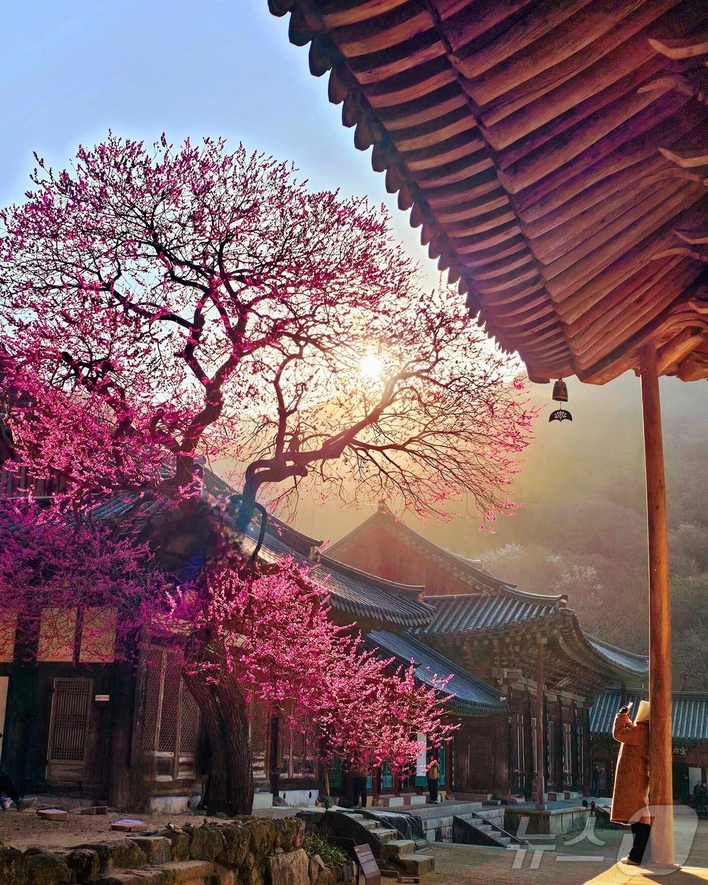 본문 이미지 - 화엄사 사진 콘테스트 수상작.(구례군 제공. 재판매 및 DB 금지)